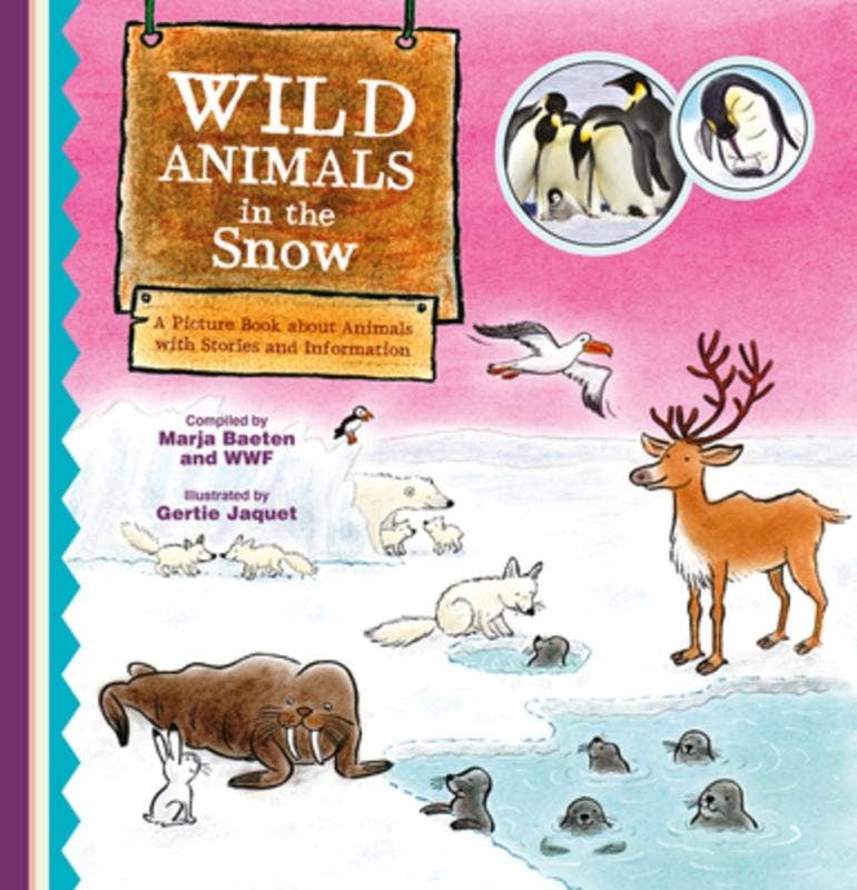 Wild Animals In The Snow: Pictures, Stories And Information