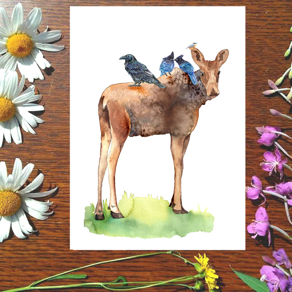 Dancing Raven Designs Postcards