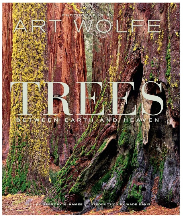 Trees Between Earth and Heaven