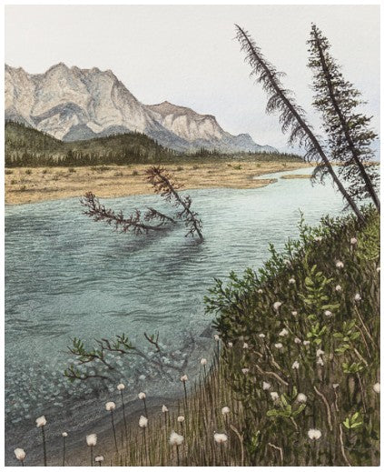 Robin Farmer Art Prints