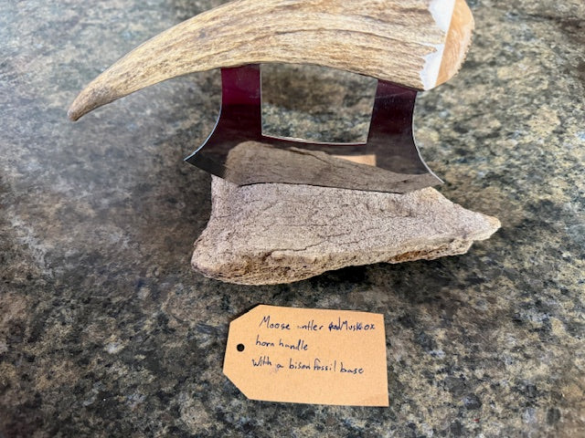 Fossilized Bone Ulus