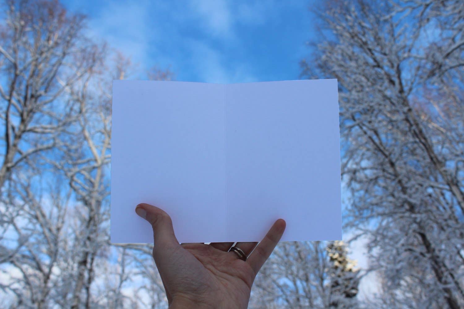 Ice Pack Greeting Cards