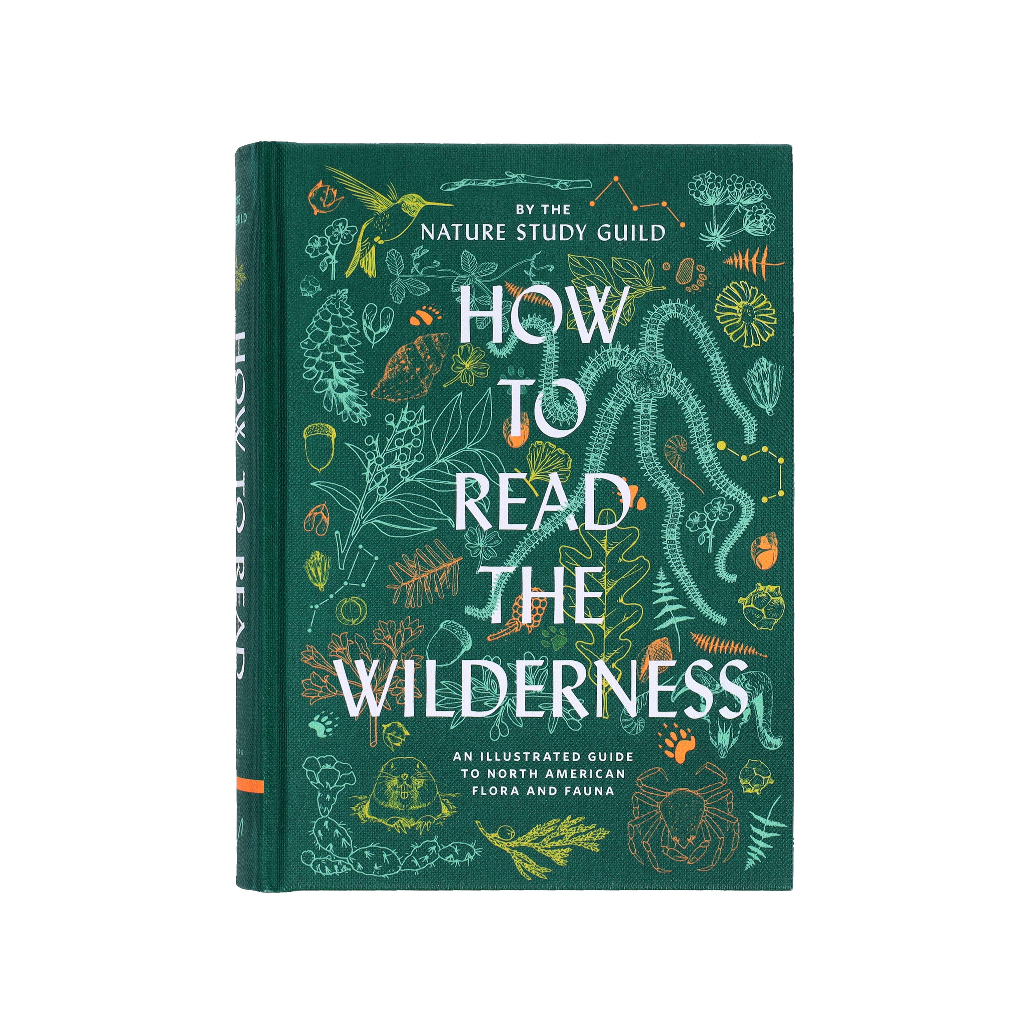How to Read the Wilderness
