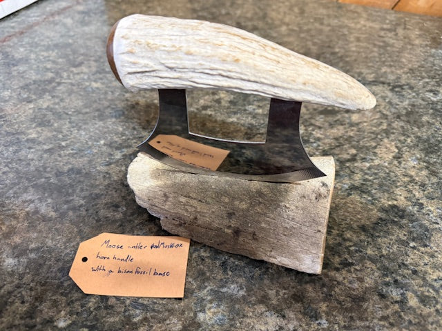 Fossilized Bone Ulus