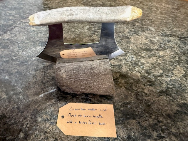 Fossilized Bone Ulus