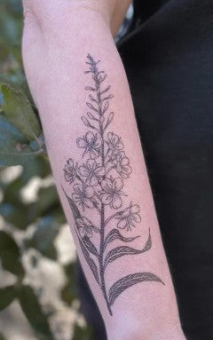 NatureTats Temporary Tattoos