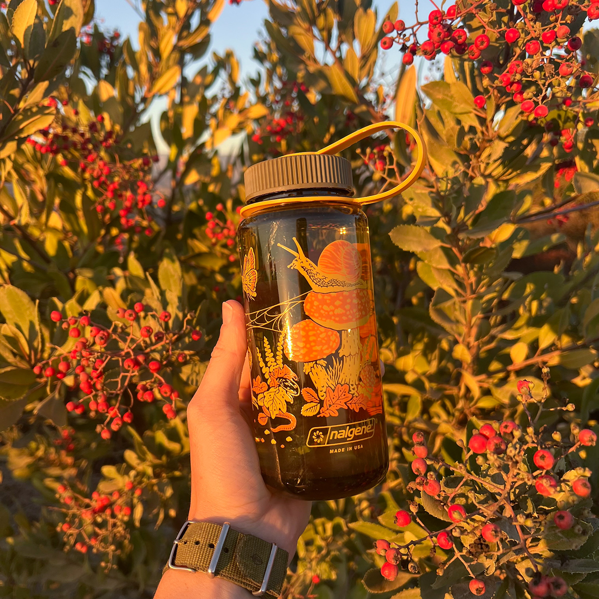 16oz Wide Mouth Nalgene Water Bottles