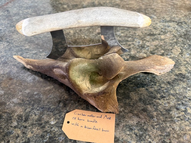 Fossilized Bone Ulus