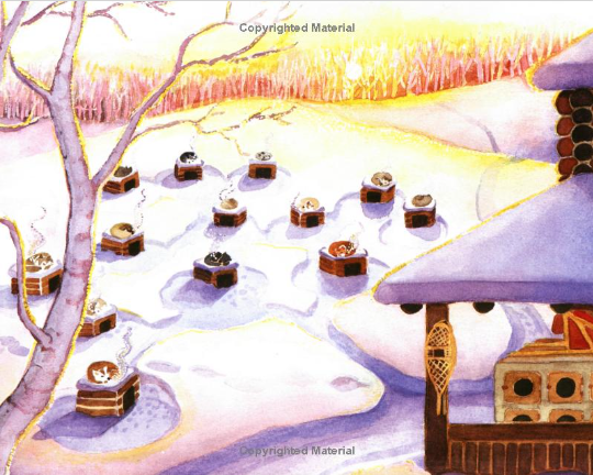 Kiana's Iditarod: An Alaska Children's Book