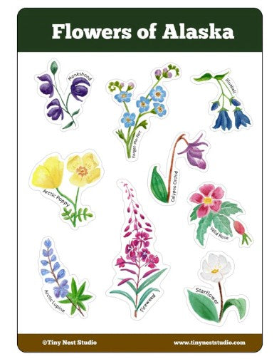 Tiny Nest Studio Stickers