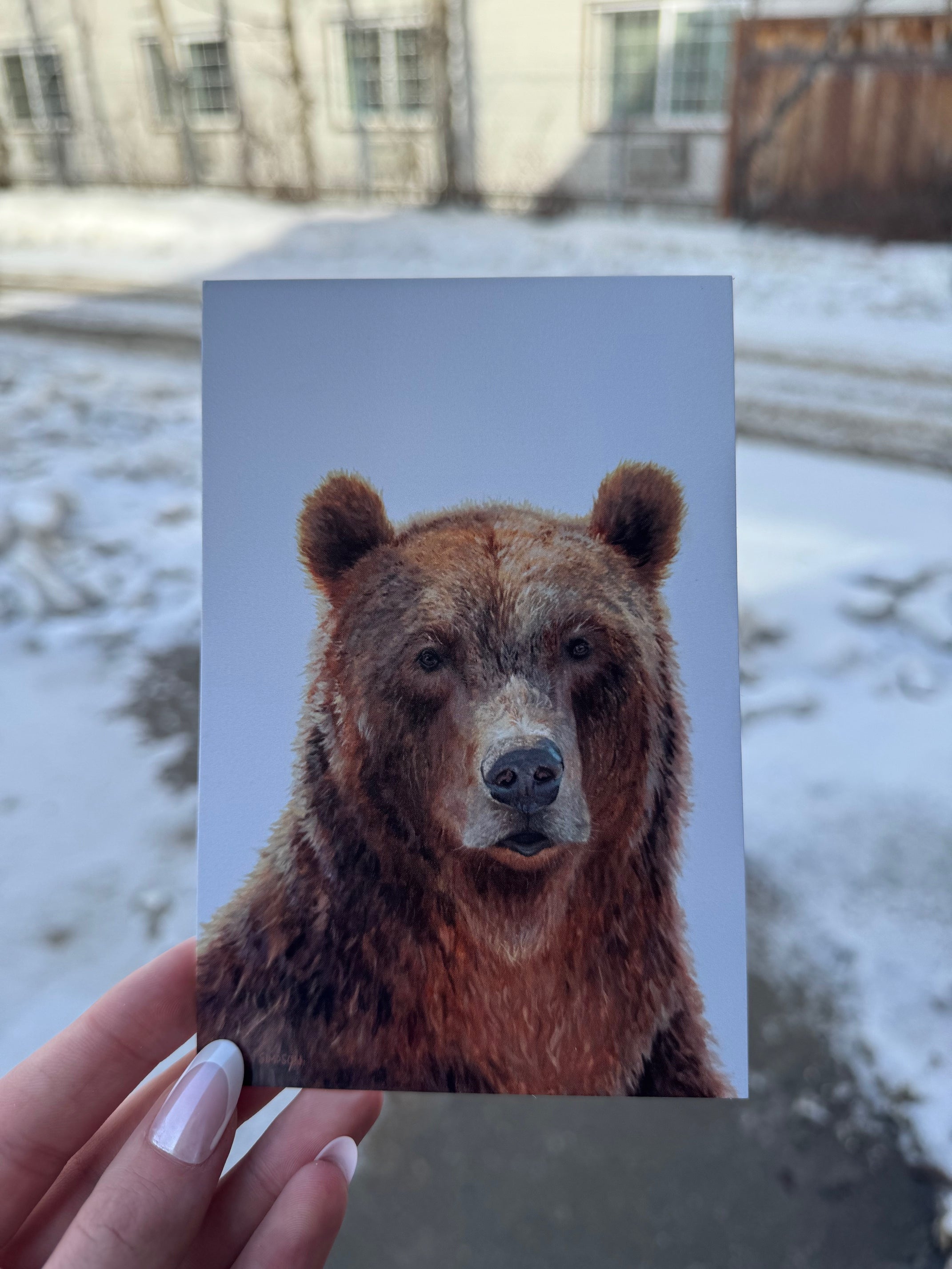 Lauren Simpson Art Cards