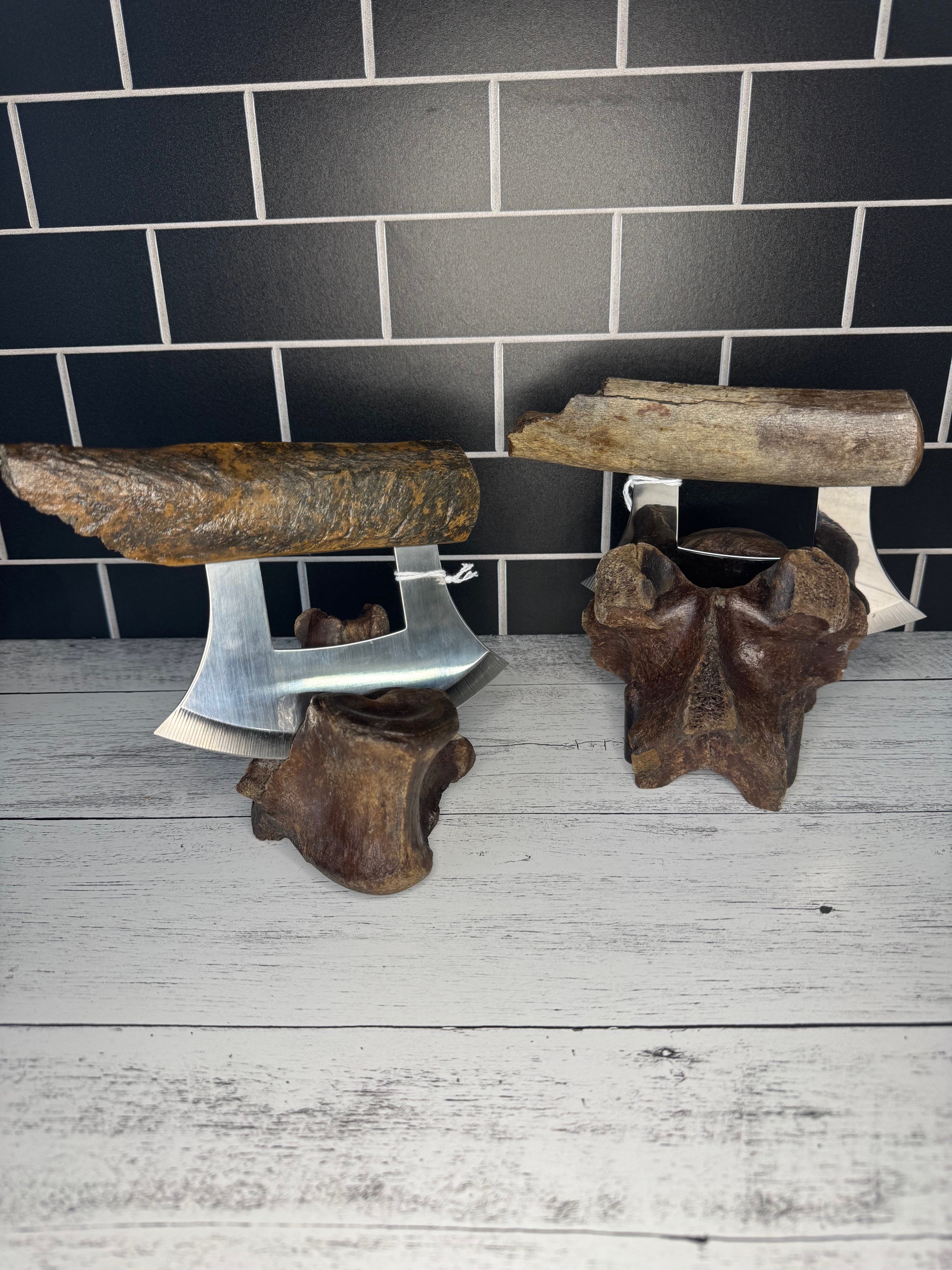 Fossilized Bone Ulus