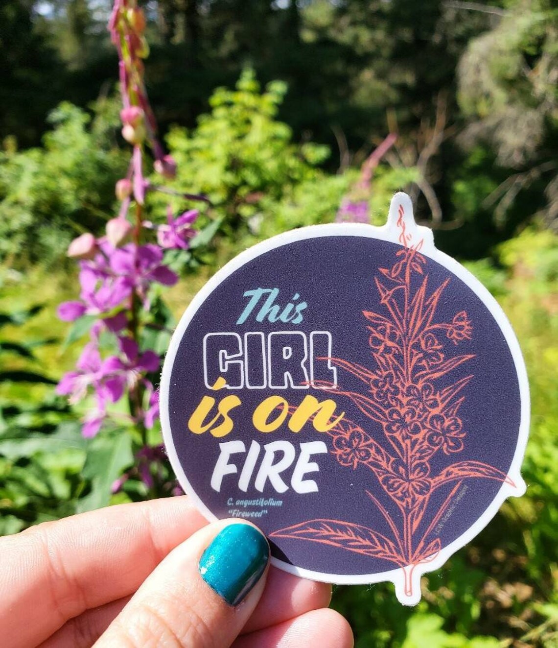 LCW Alaskan Graphic Stickers