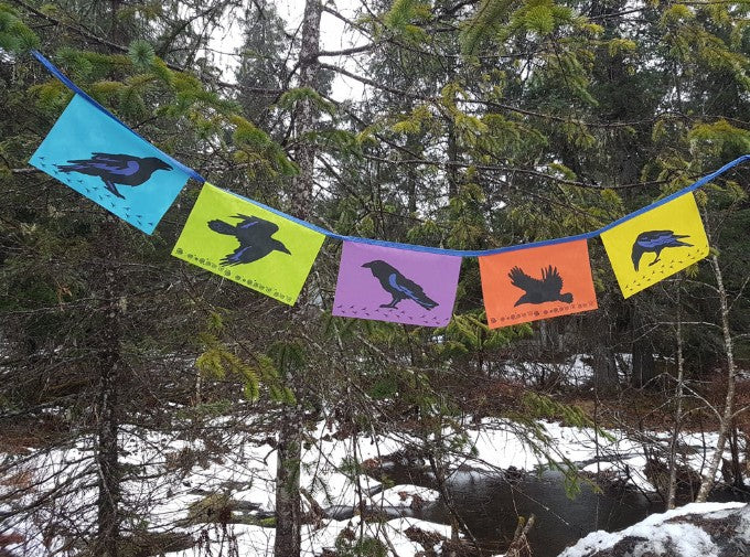 Cindy Shake Design Banners