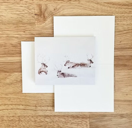 Lauren Simpson Art Cards