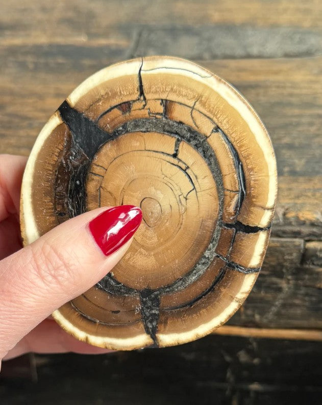 Mammoth Tusk Medallion