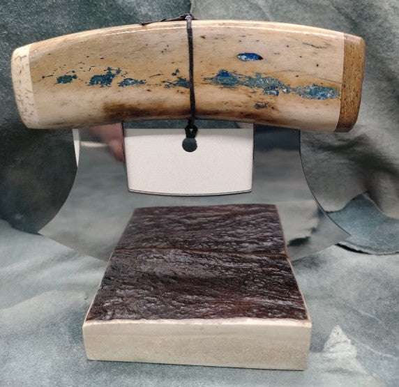 Fossilized Walrus Bone Ulus