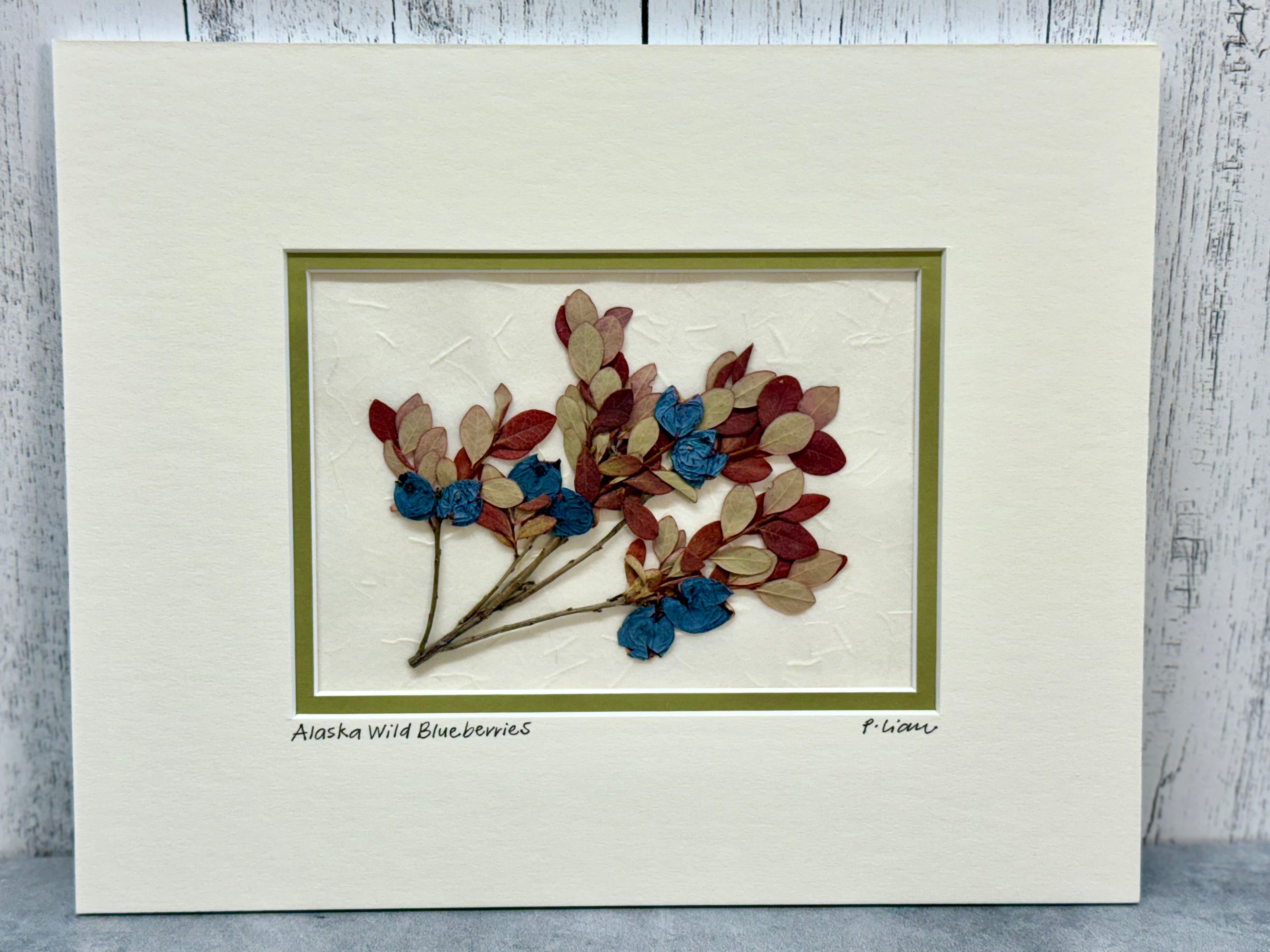 Iceworm Botanical Collection (Medium)
