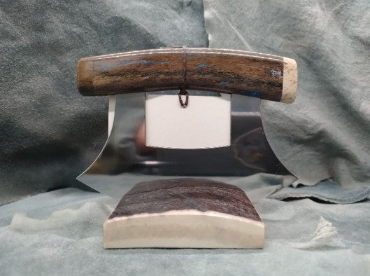 Fossilized Walrus Bone Ulus