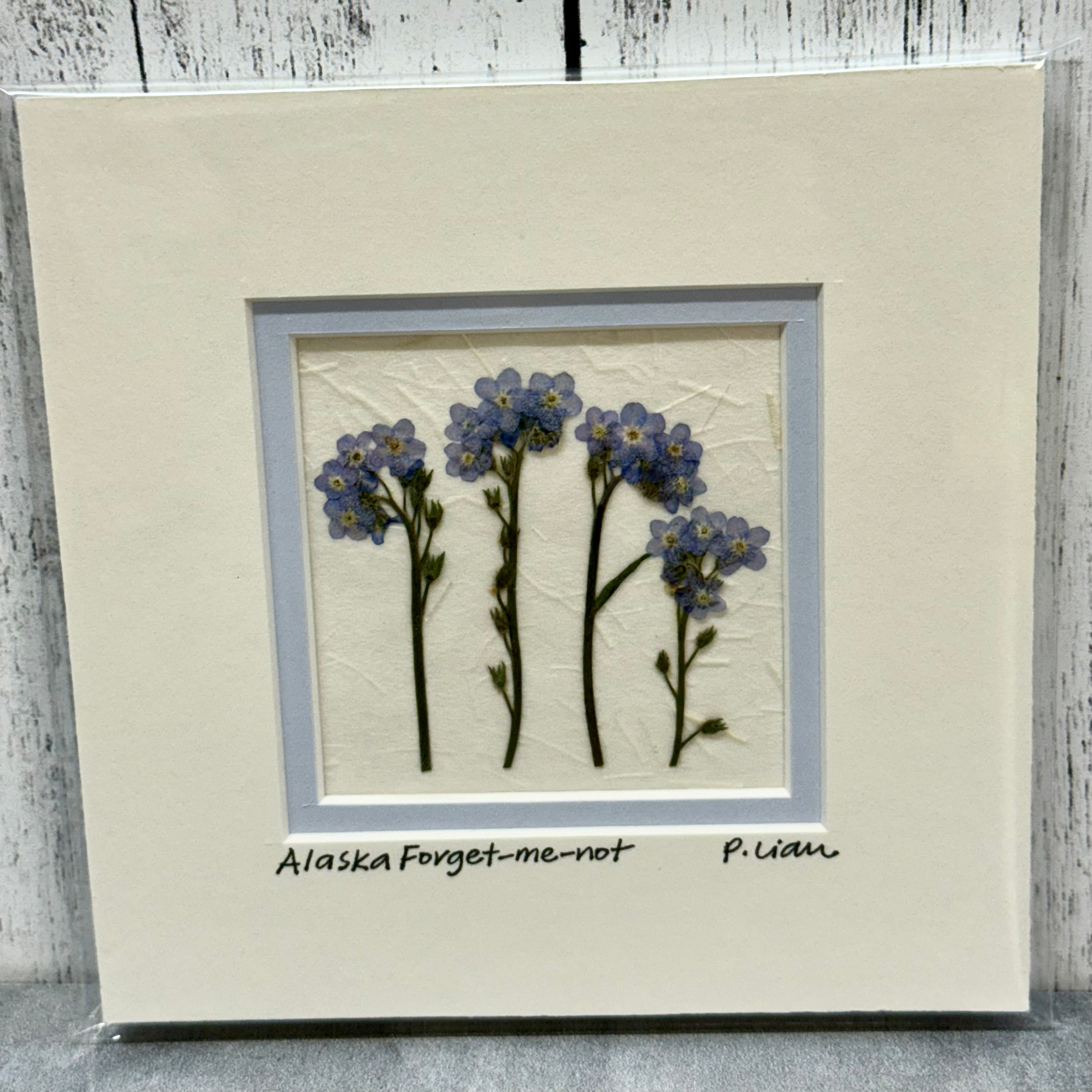 Iceworm Botanical Collection (Mini)