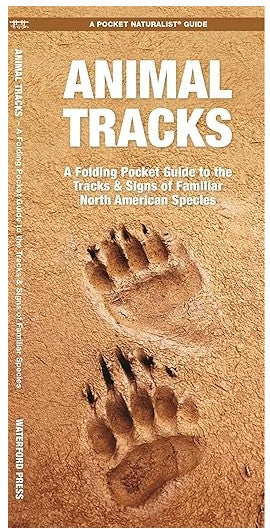 Animal Tracks a Pocket Guide