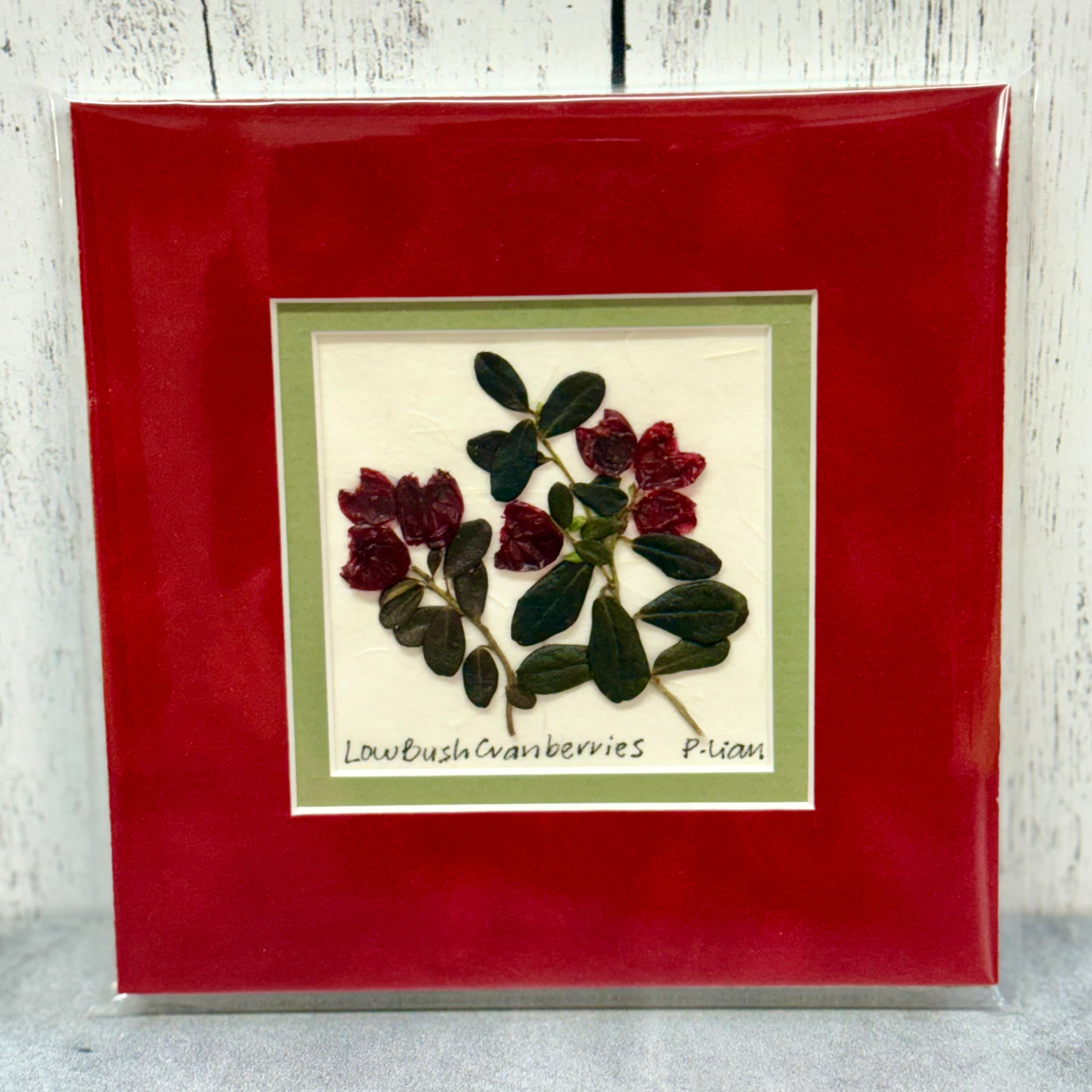 Iceworm Botanical Collection (Mini)