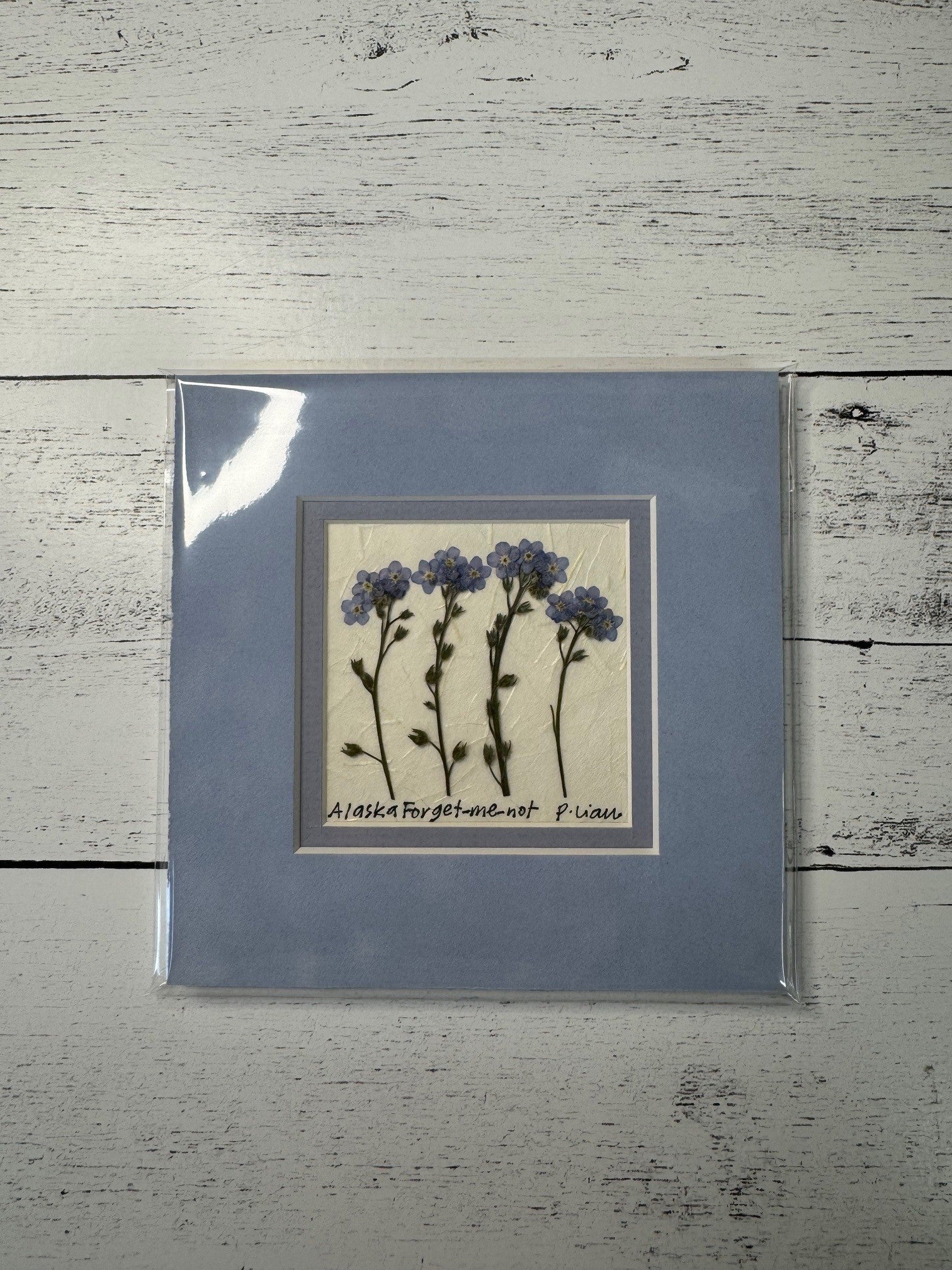 Iceworm Botanical Collection (Mini)