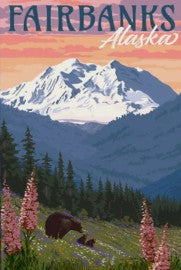 Eco Friendly Fairbanks Journal