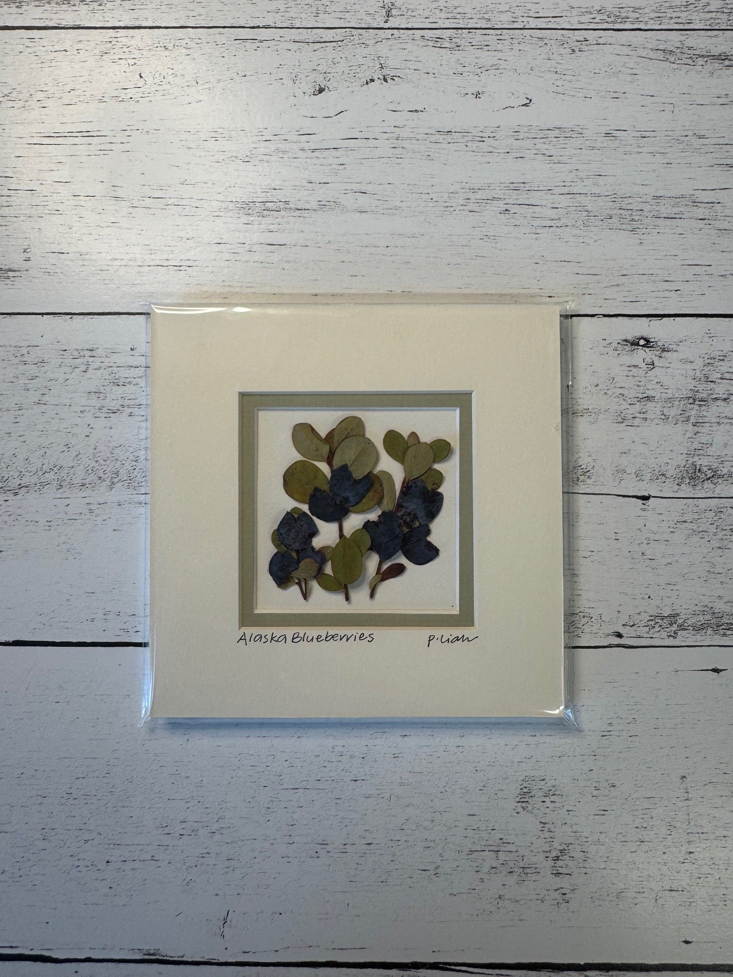 Iceworm Botanical Collection (Mini)