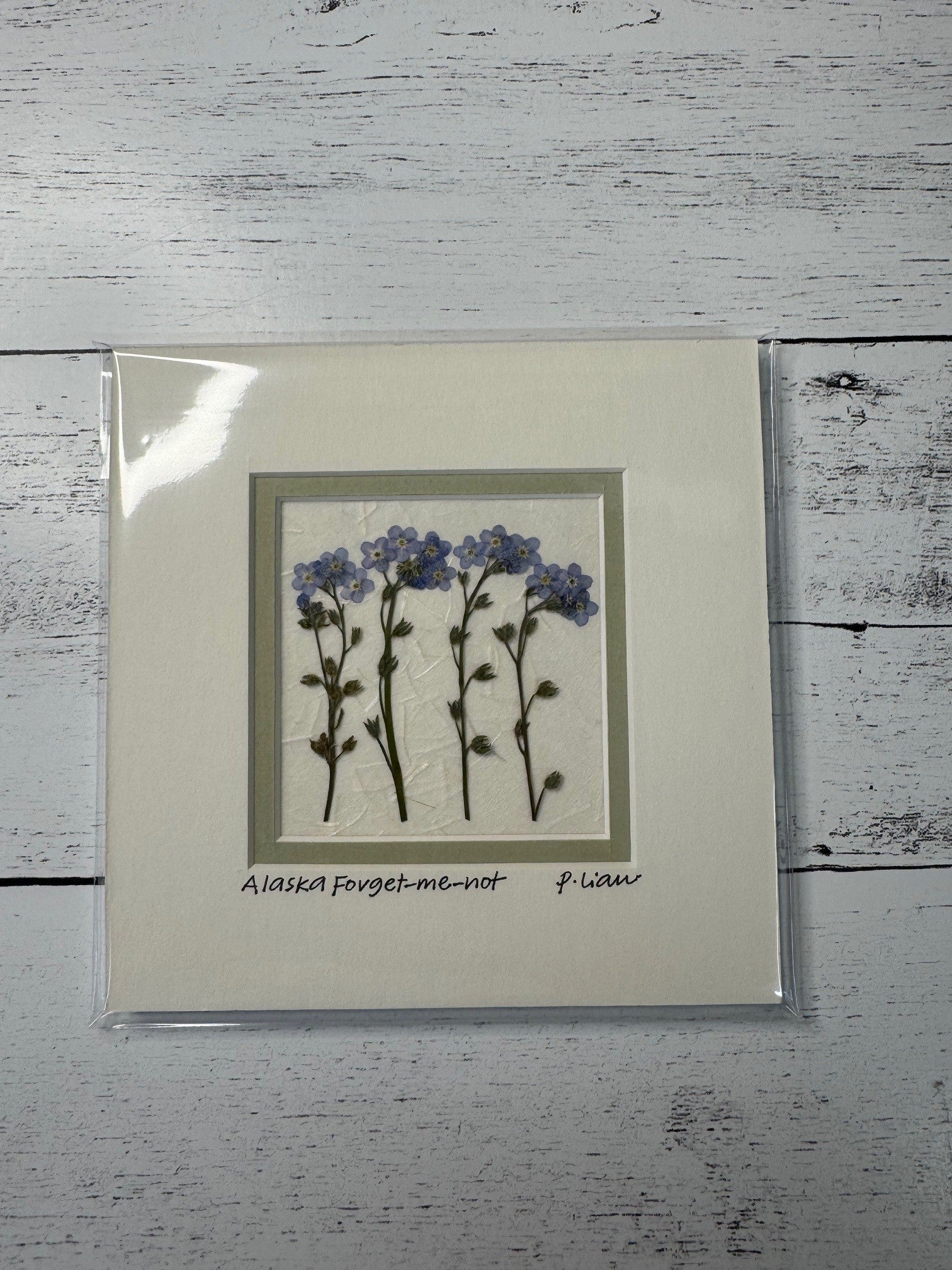 Iceworm Botanical Collection (Mini)