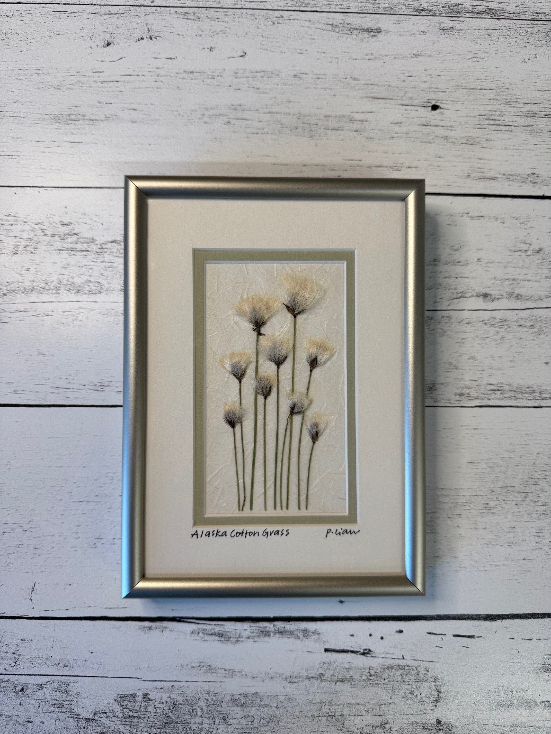 Iceworm Botanical Collection (Mini)