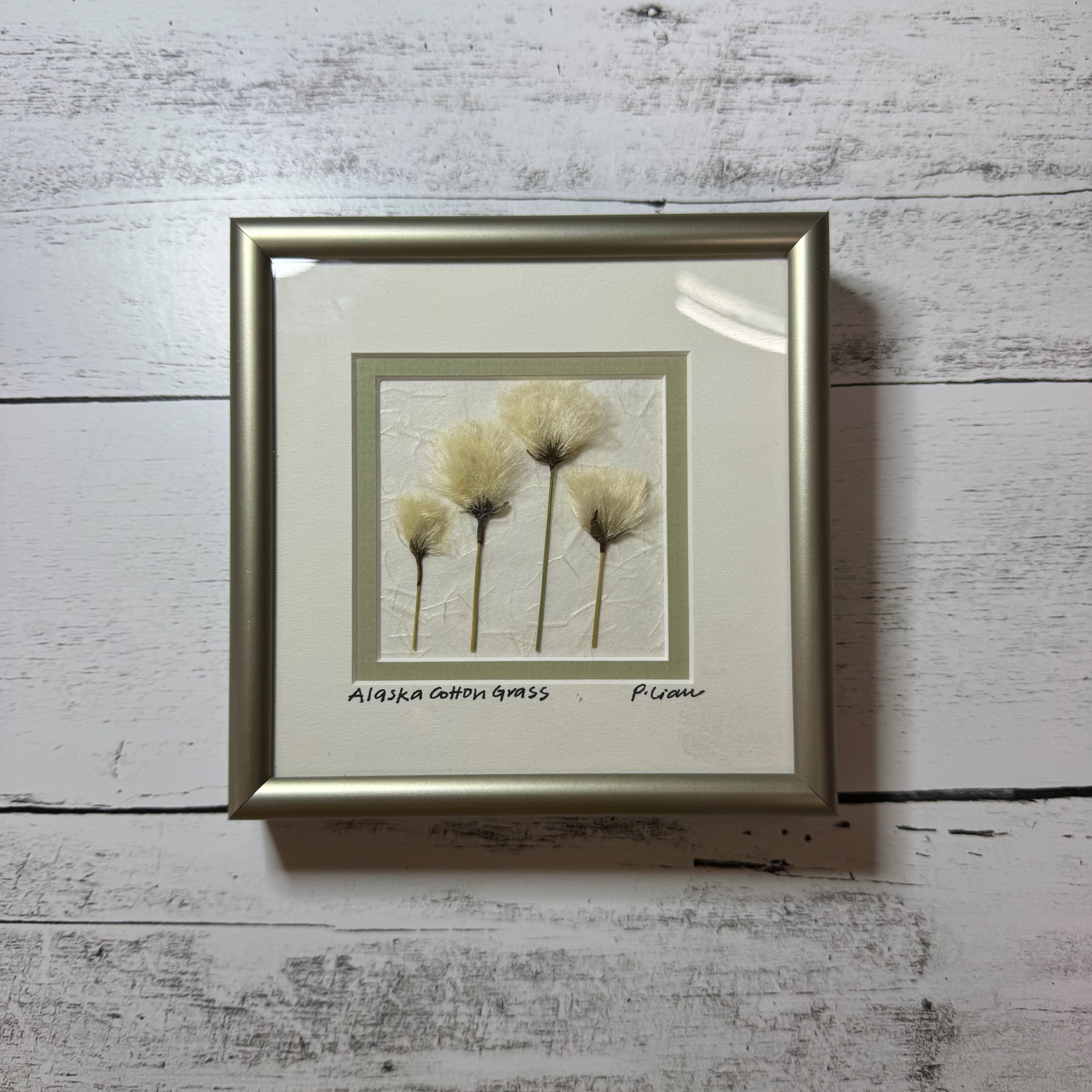 Iceworm Botanical Collection (Mini)