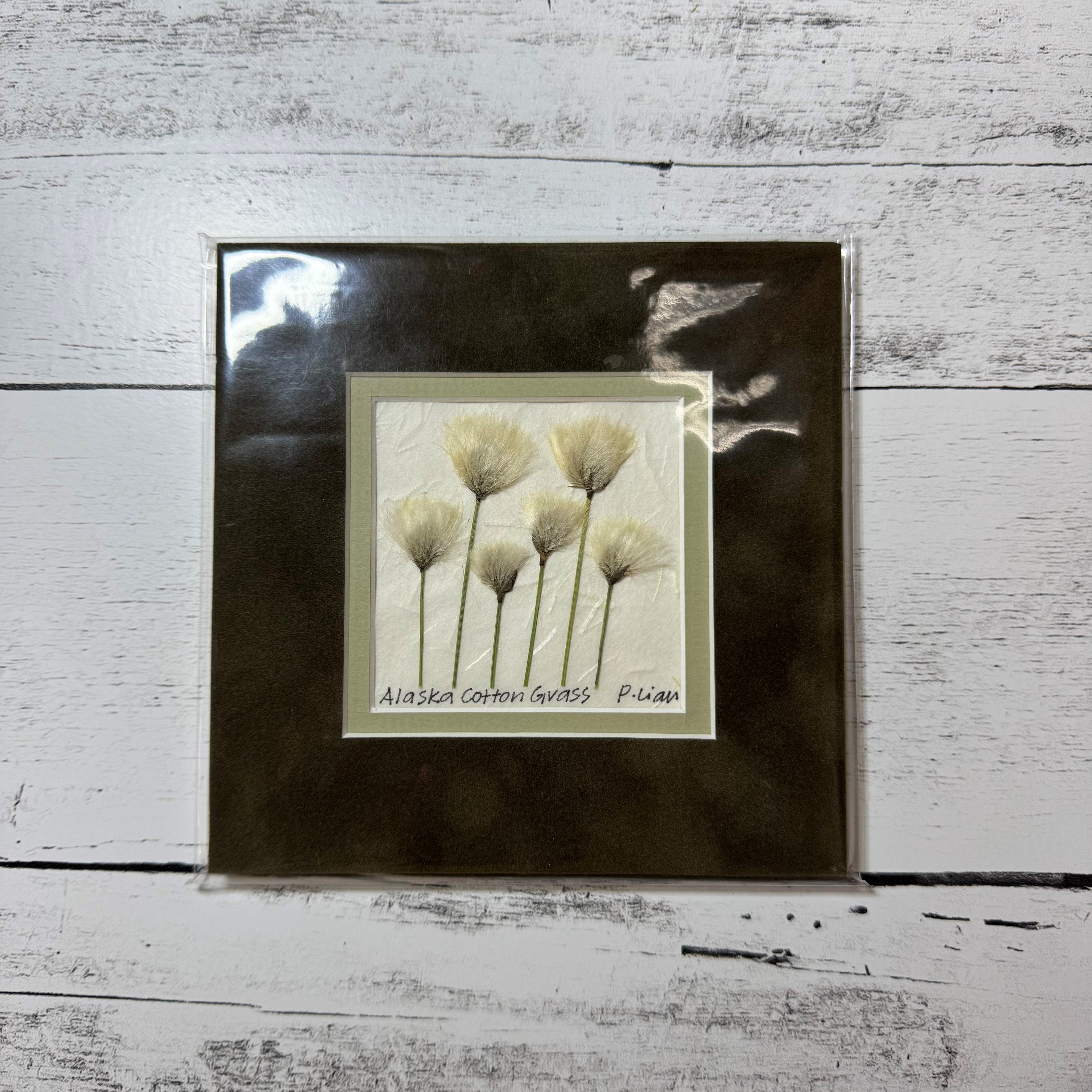 Iceworm Botanical Collection (Mini)