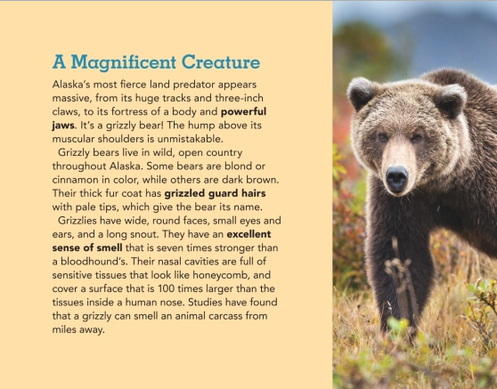 Grizzly Bears of Alaska: Explore the WQild World of Bears