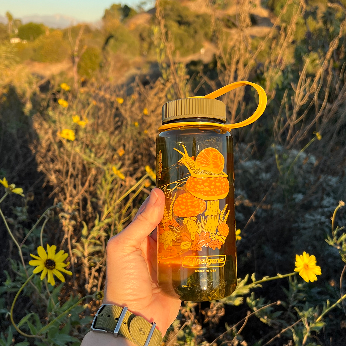 16oz Wide Mouth Nalgene Water Bottles