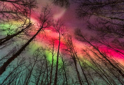 Aurora Mini Card Pack of 10