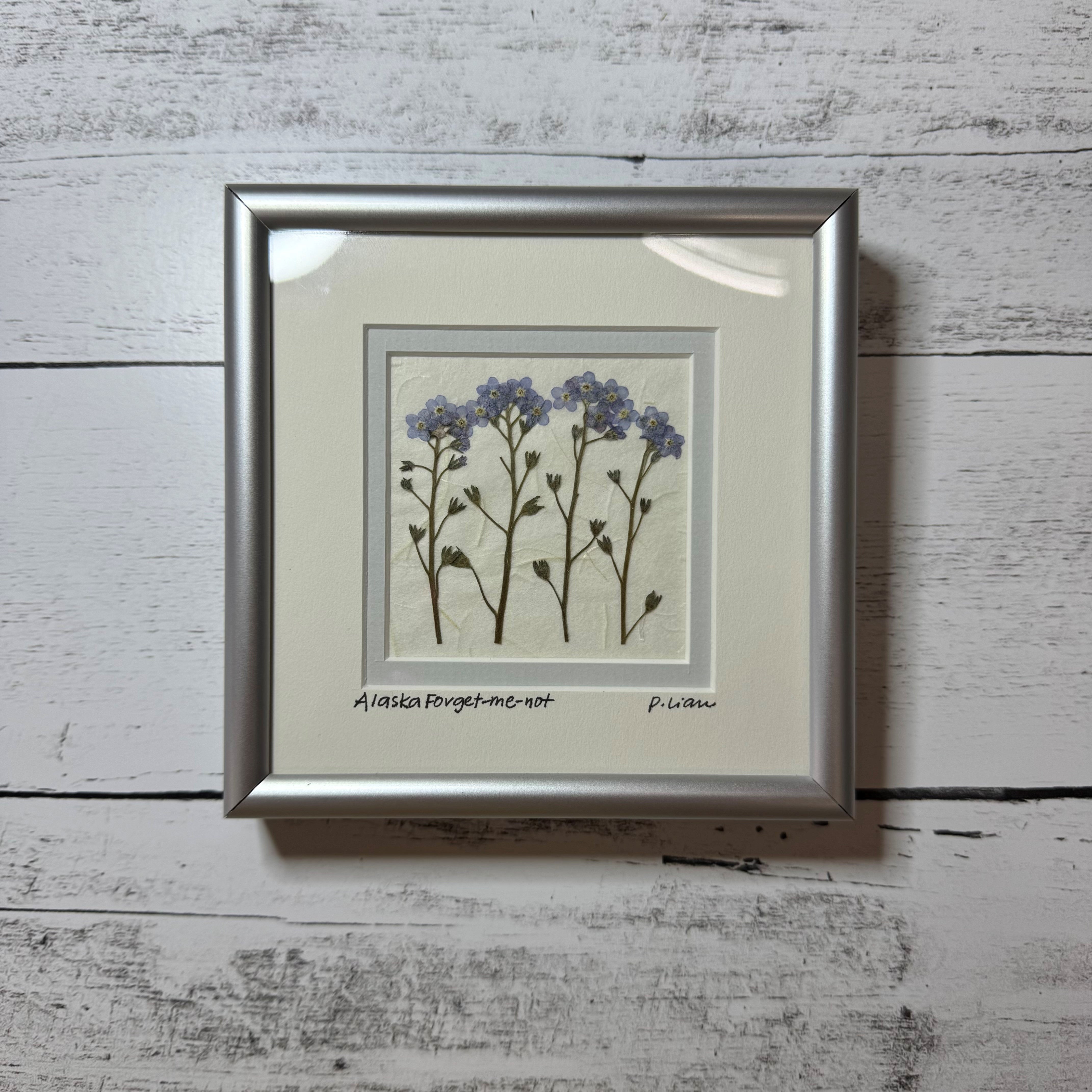 Iceworm Botanical Collection (Mini)