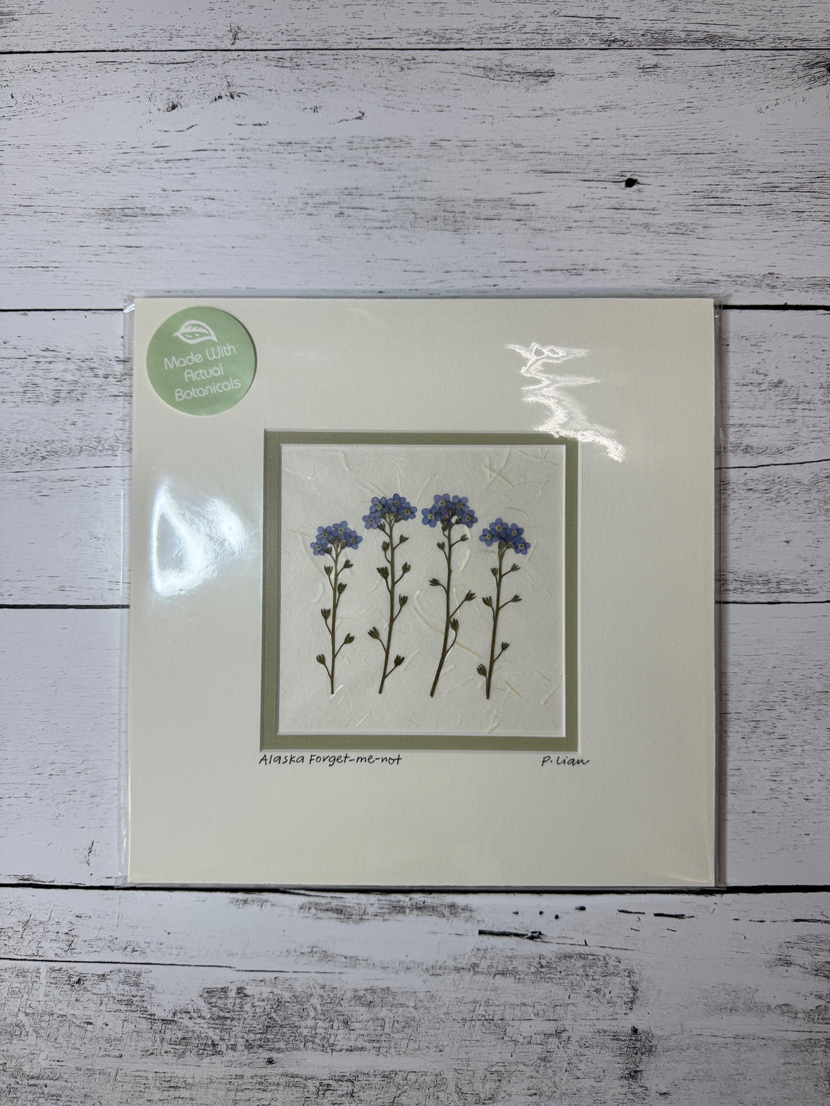 Iceworm Botanical Collection (Medium)