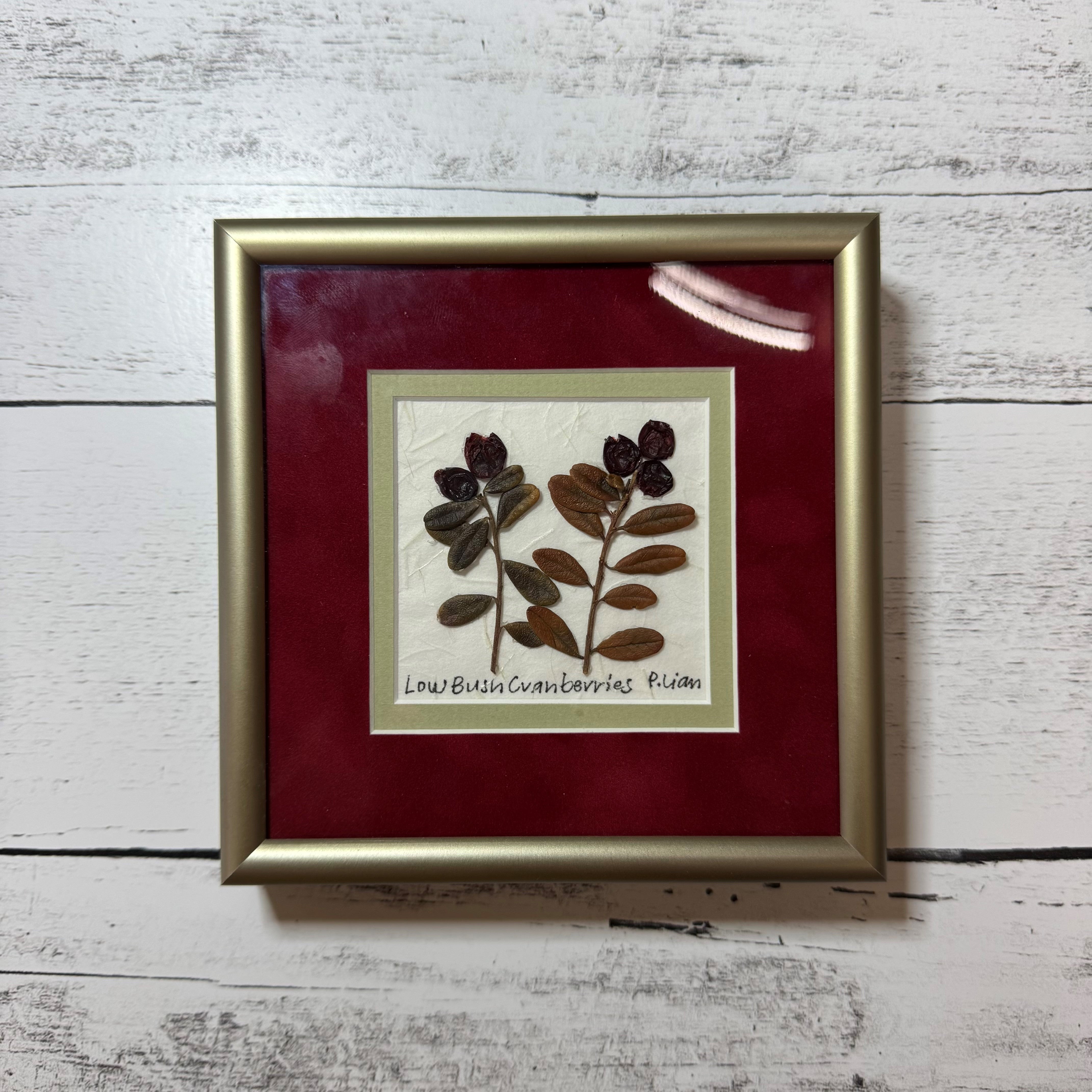 Iceworm Botanical Collection (Mini)