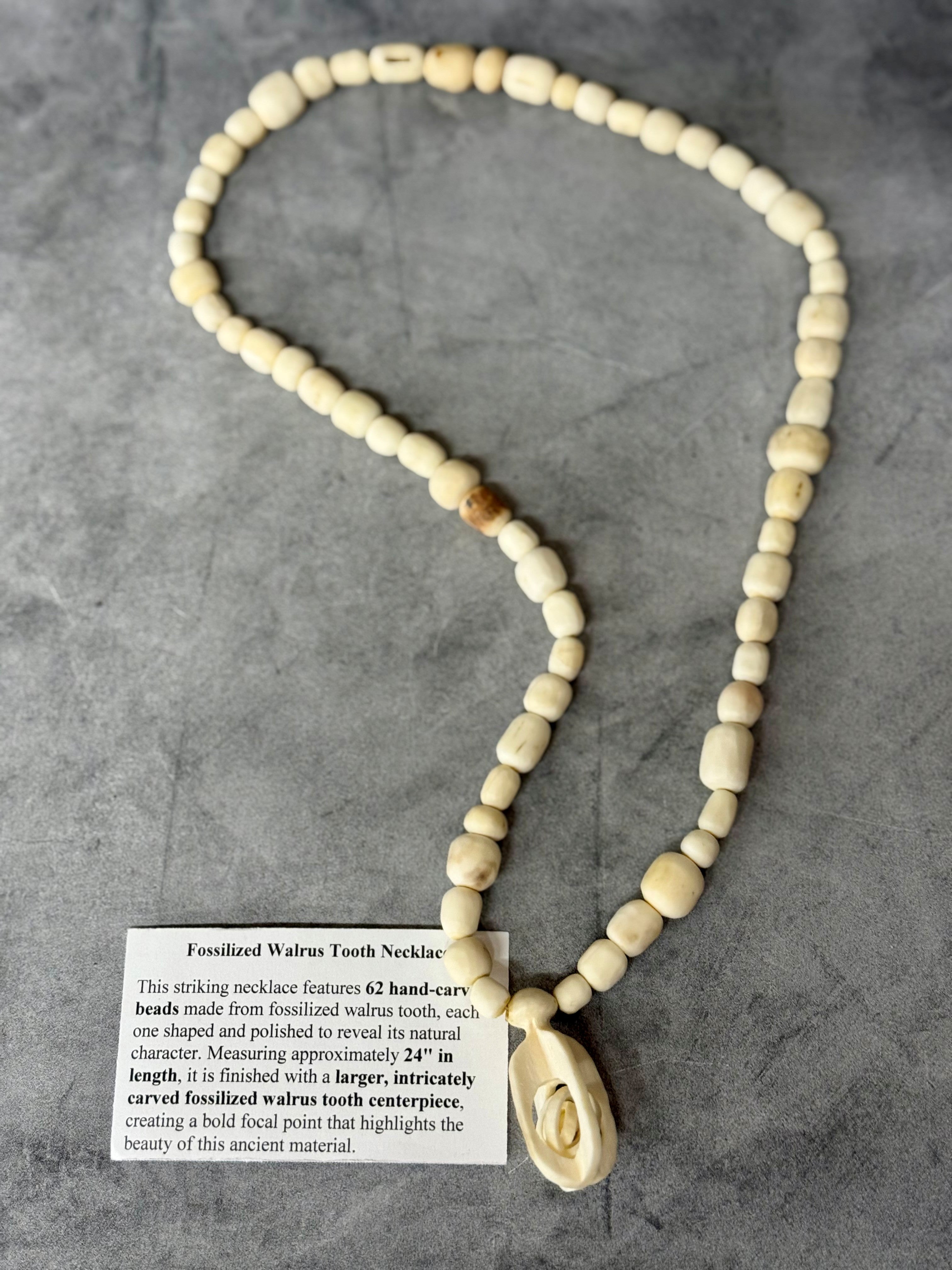 Fossilized Walrus Tooth Necklace