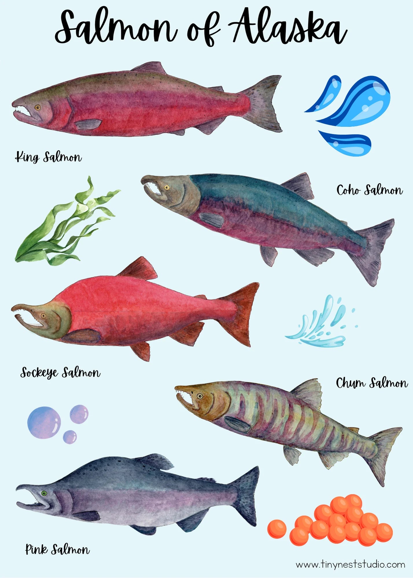 Tiny Nest Studio Stickers