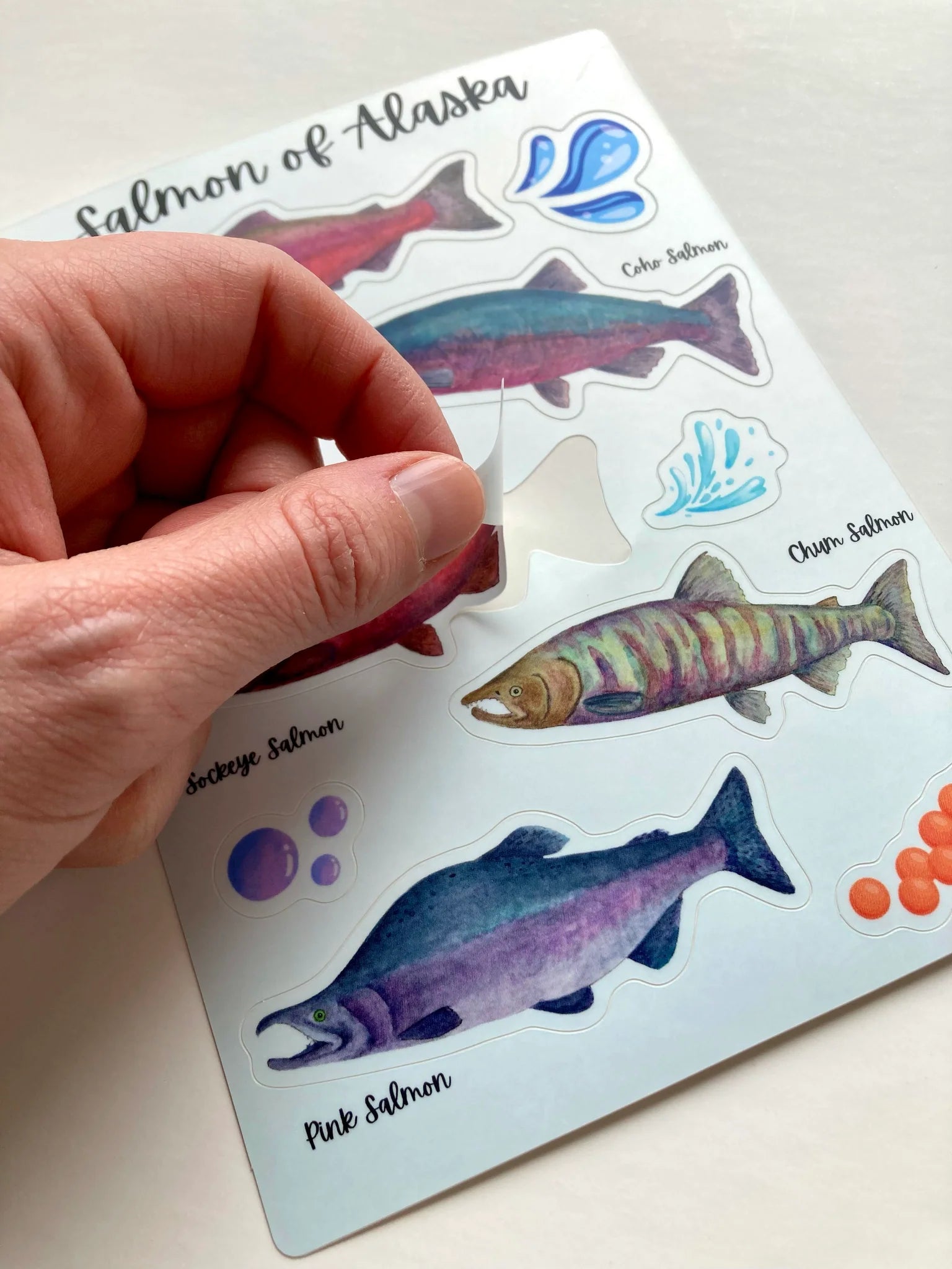 Tiny Nest Studio Stickers