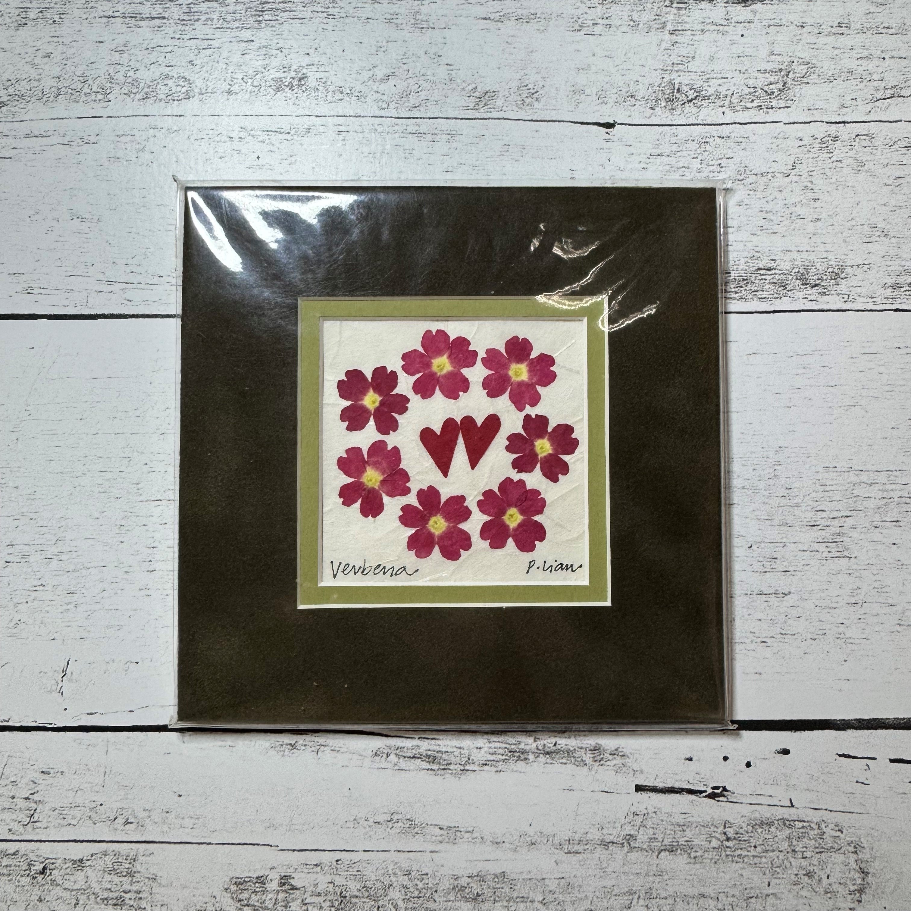 Iceworm Botanical Collection (Mini)