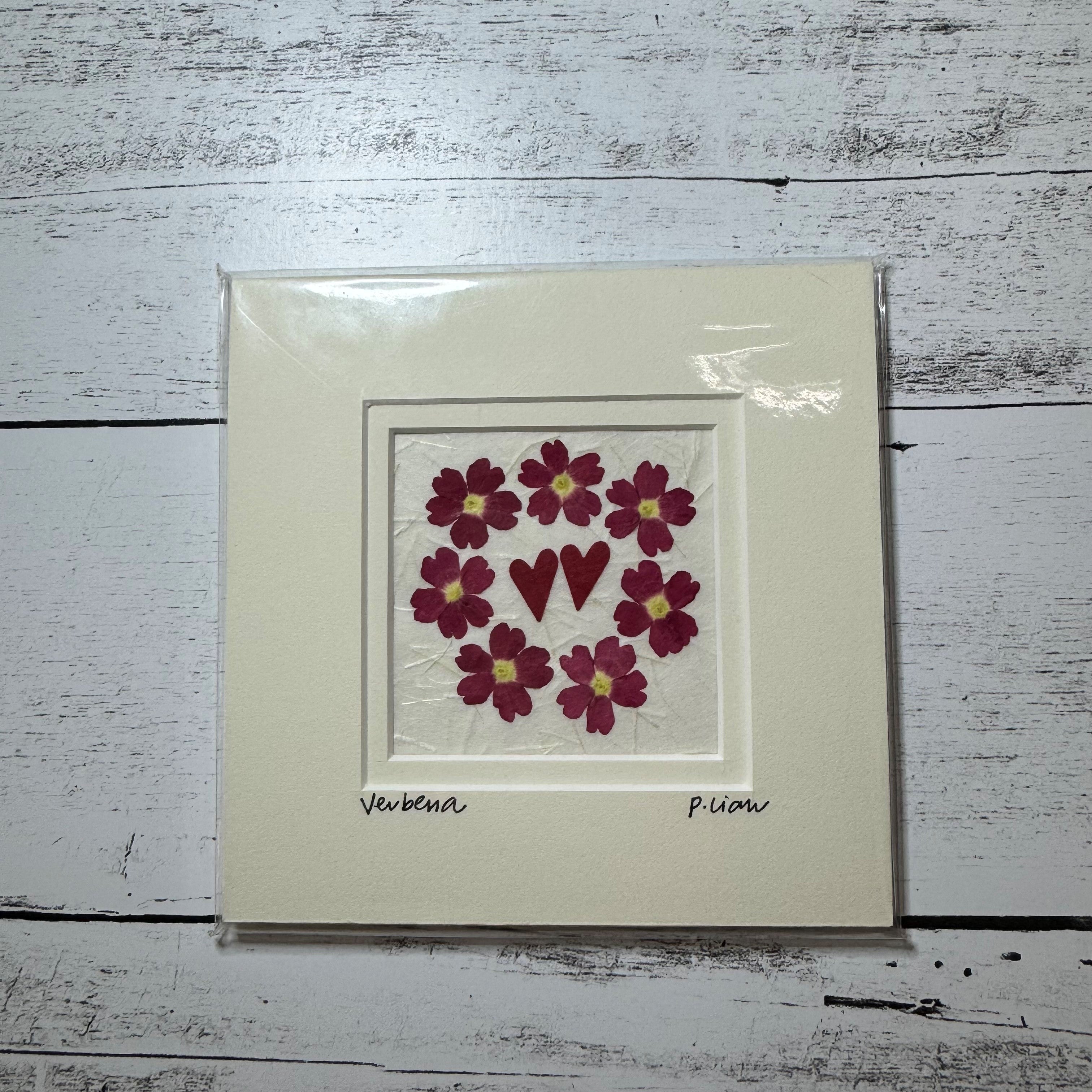 Iceworm Botanical Collection (Mini)