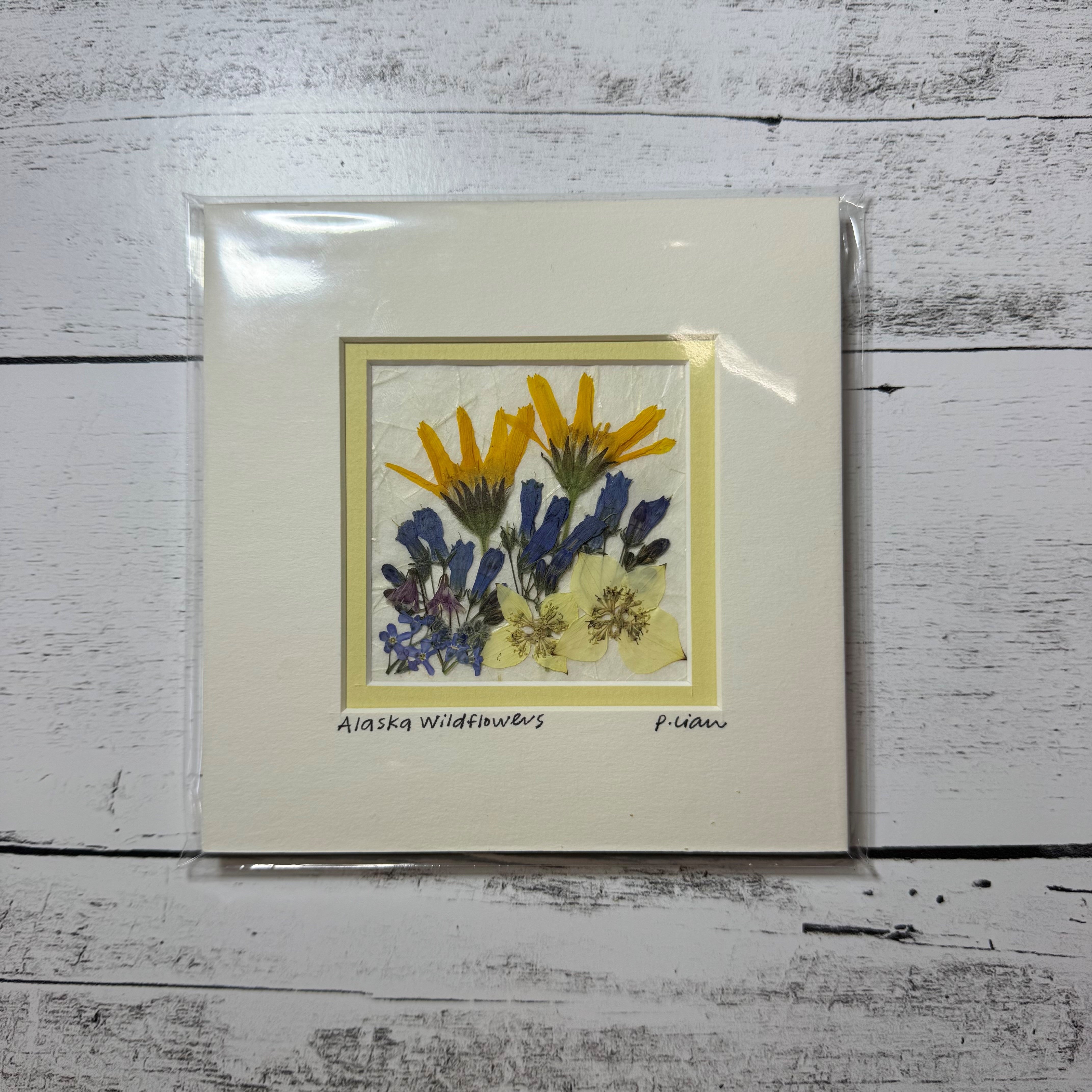 Iceworm Botanical Collection (Mini)