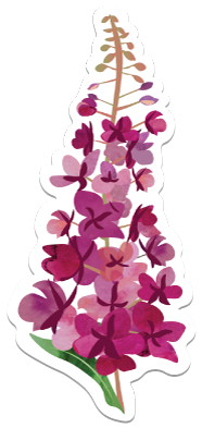 Wren and the Raven Stickers