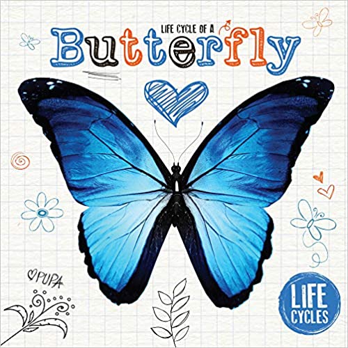 Life Cycles: Butterfly