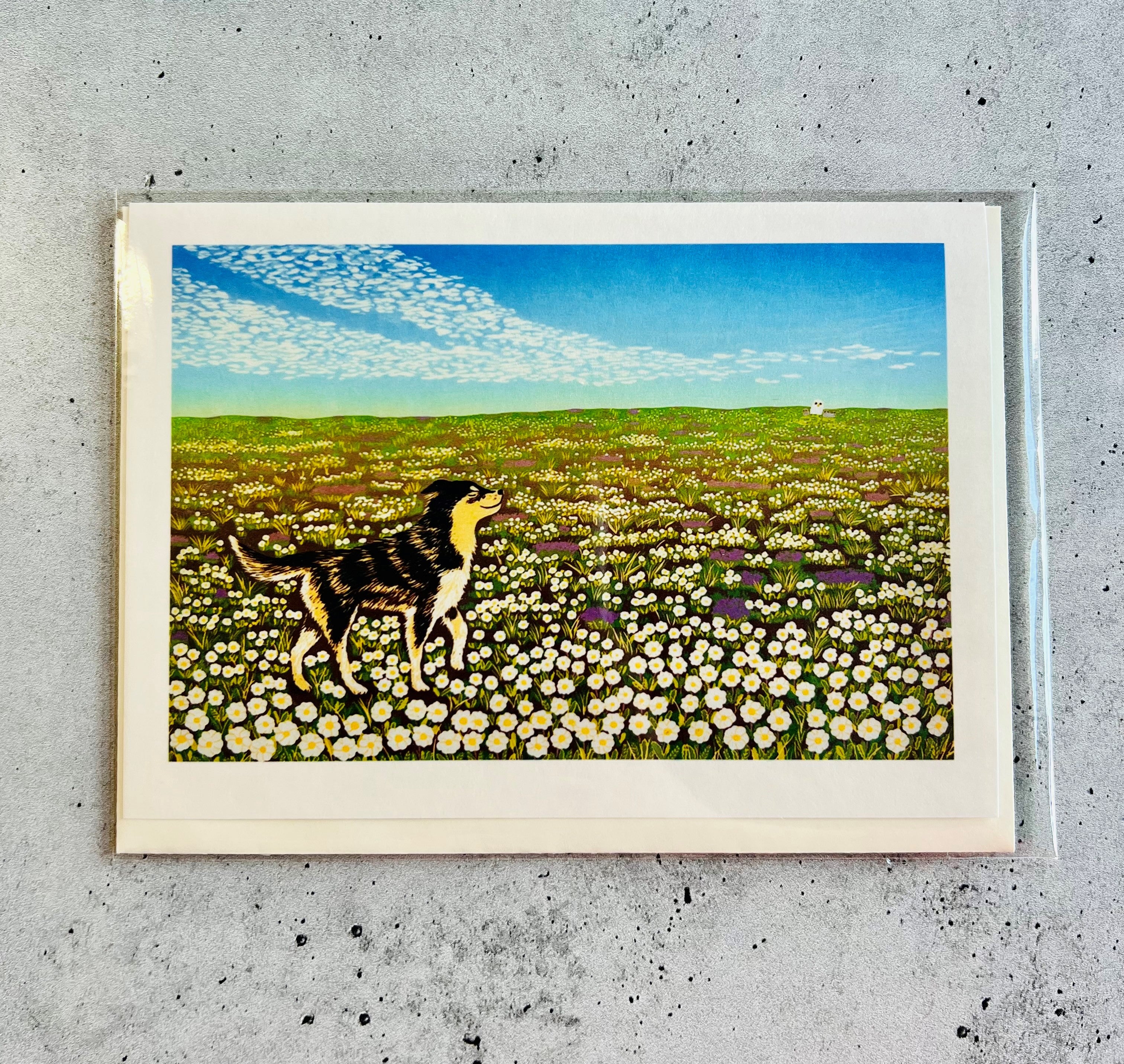 Dogwood Studio Cards