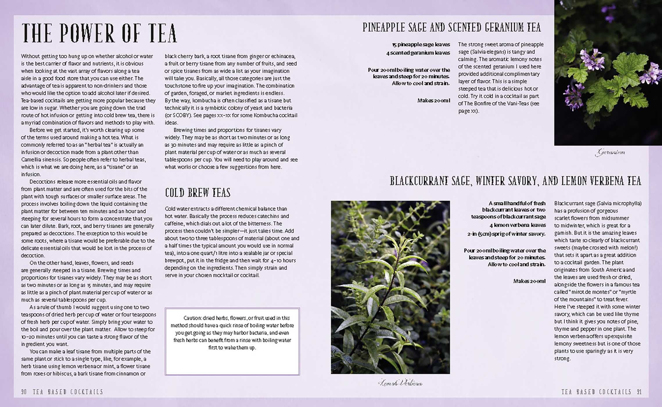 Wild Mocktails & Healthy Cocktails