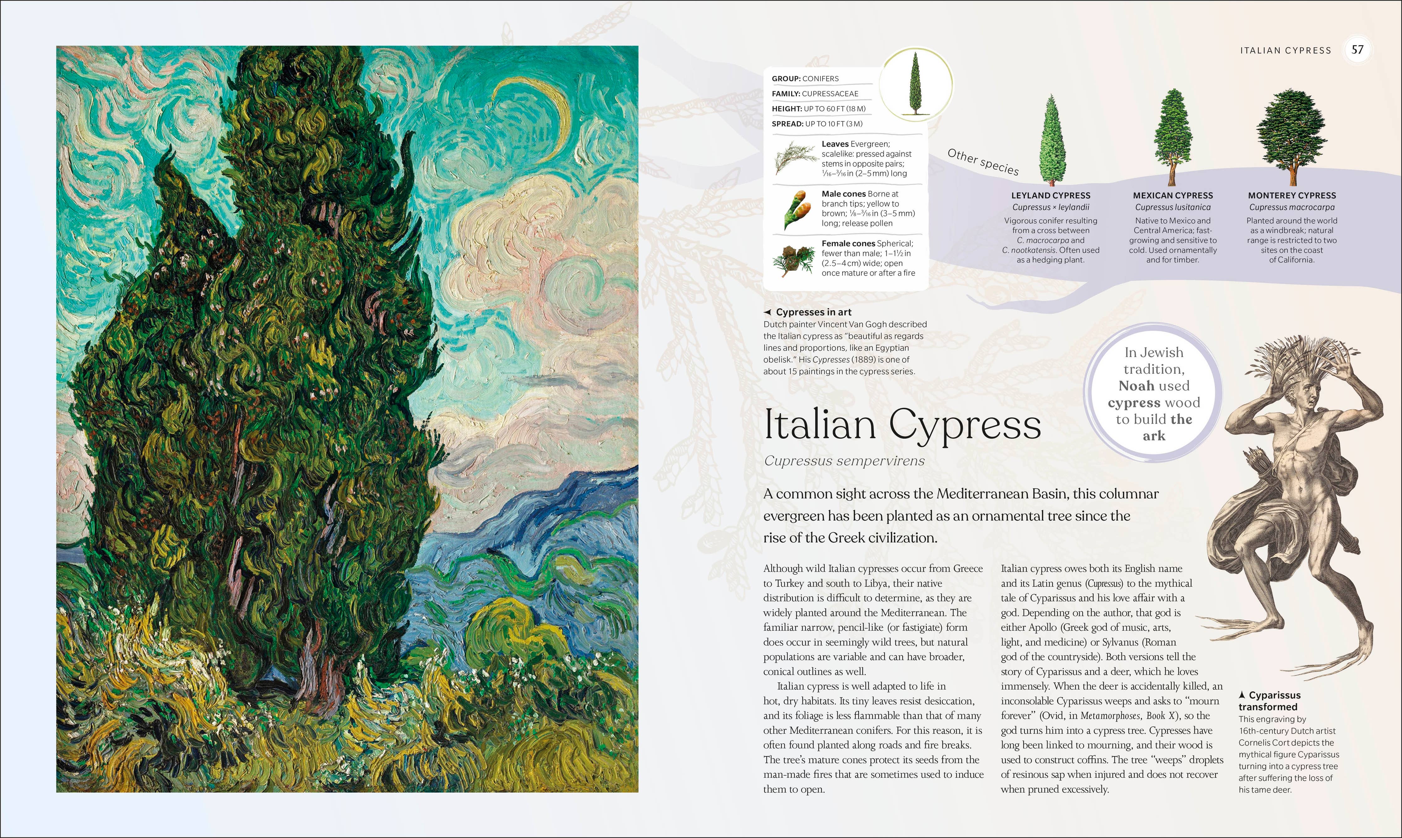 Tree Book